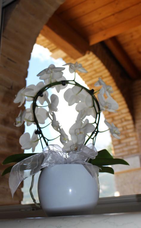 شقة كابرينو فيرونيسي  في Giardino Degli Ulivi المظهر الخارجي الصورة